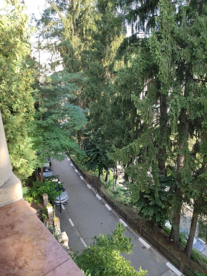 Casa Rosa Villa Băile Olăneşti Eksteriør billede