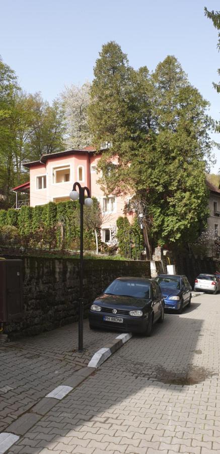 Casa Rosa Villa Băile Olăneşti Eksteriør billede