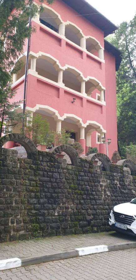 Casa Rosa Villa Băile Olăneşti Eksteriør billede
