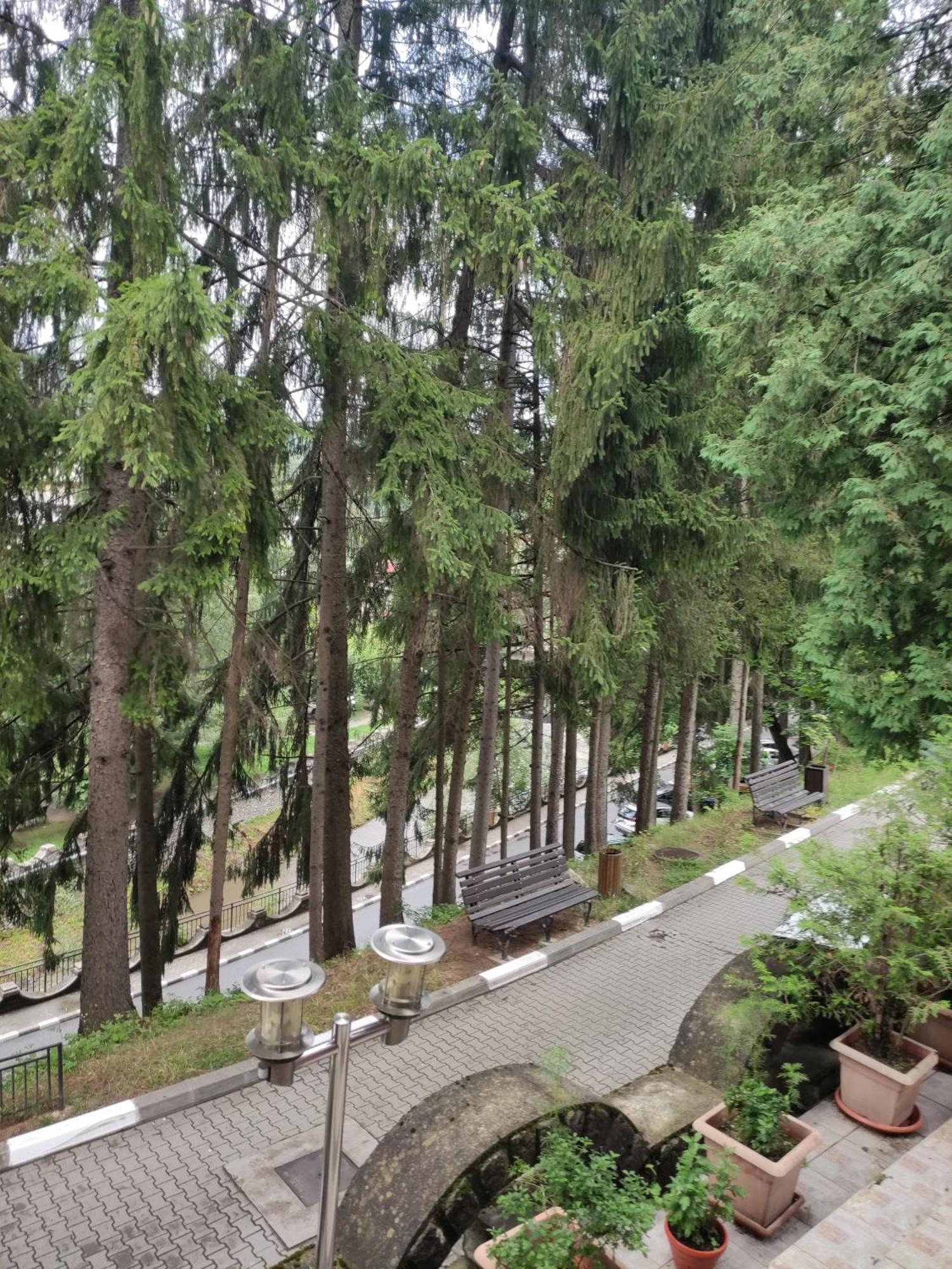 Casa Rosa Villa Băile Olăneşti Eksteriør billede