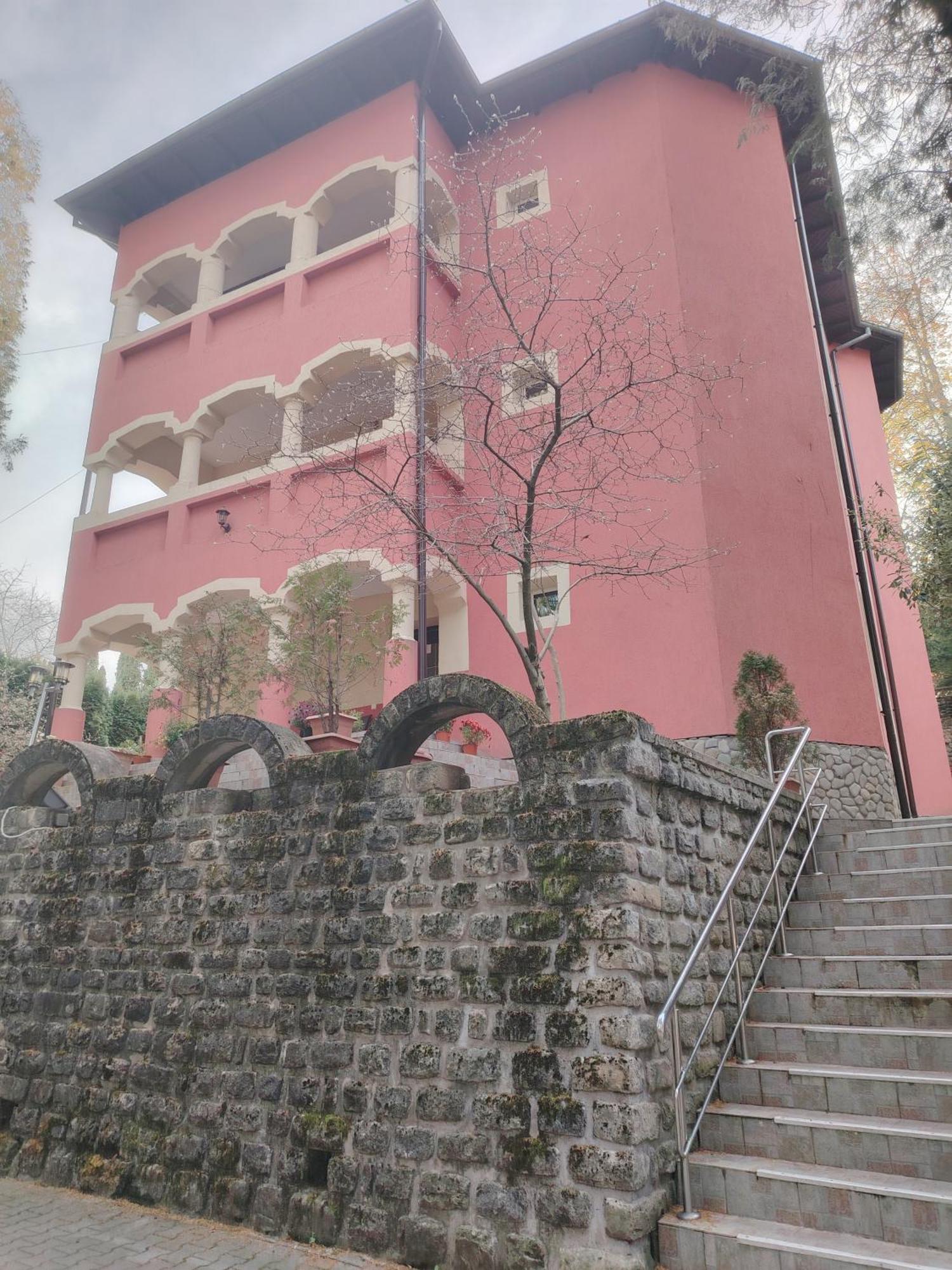 Casa Rosa Villa Băile Olăneşti Værelse billede